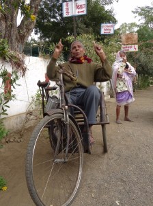 Watching the leaves blow